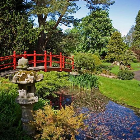 The Curragh Country House Accommodation Newbridge  Luaran gambar