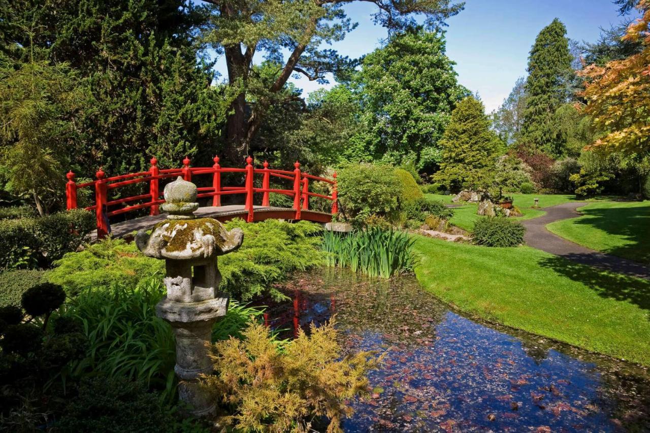 The Curragh Country House Accommodation Newbridge  Luaran gambar