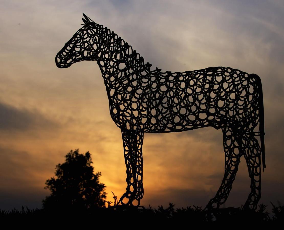 The Curragh Country House Accommodation Newbridge  Luaran gambar