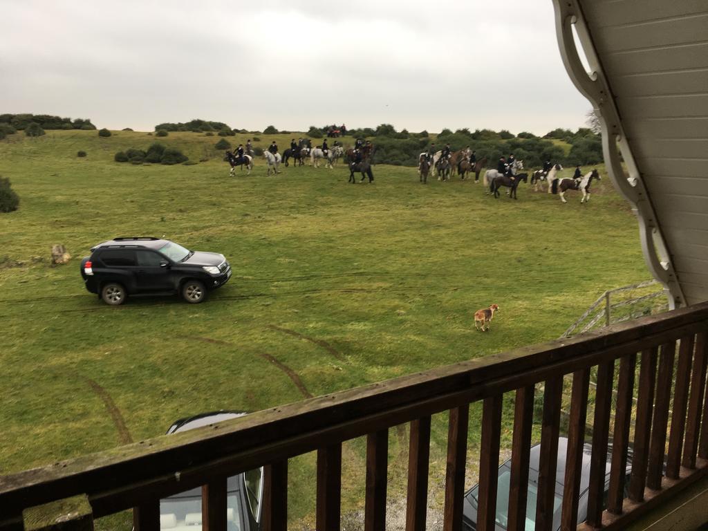 The Curragh Country House Accommodation Newbridge  Luaran gambar