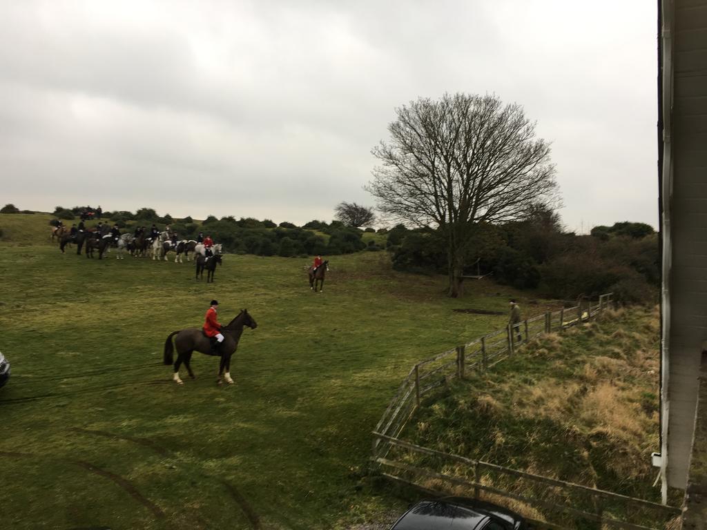 The Curragh Country House Accommodation Newbridge  Luaran gambar